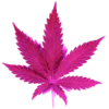 🌿