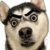 😧
