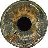 👁