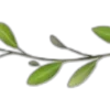 🌱