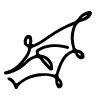 🪽