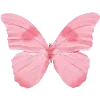 🦋