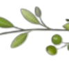 🌱