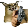 🔫