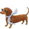 🐶