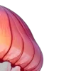 🤩