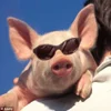😎