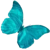 🦋