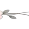 🌱