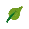 🍃