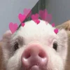 🥰