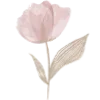 🌷