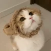 🐾