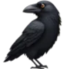 🐦‍⬛