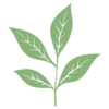 🌿