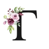 🌱