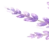 💜
