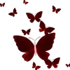 🦋