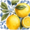 🍋
