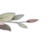 🌱