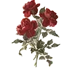 🌹