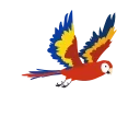 🐦