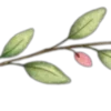 🌱