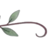 🌱