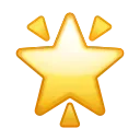 🌟