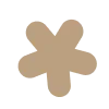 🟤
