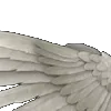 ⭐