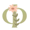 🌺