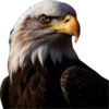 🦅