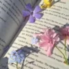 📕