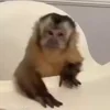 😠