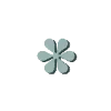✳️