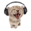 😸