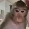 😨