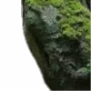 ⭐️