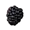 🍇