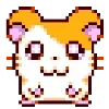 🐹
