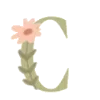 🌺