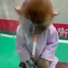 🚬