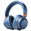 🎧