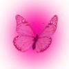 🦋