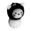 🐱