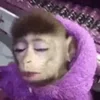 🐵