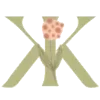 🌺