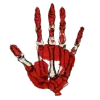 🖐