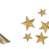 🌟